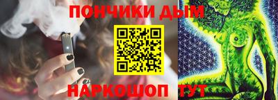 стаф Сланцы