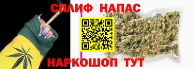 стаф Сланцы