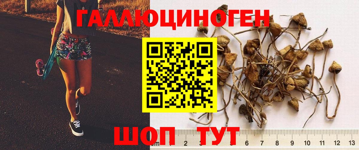 Псилоцибиновые грибы Cubensis  Вход с VPN  Симферополь  Галлюциногенные грибы ЛСД 